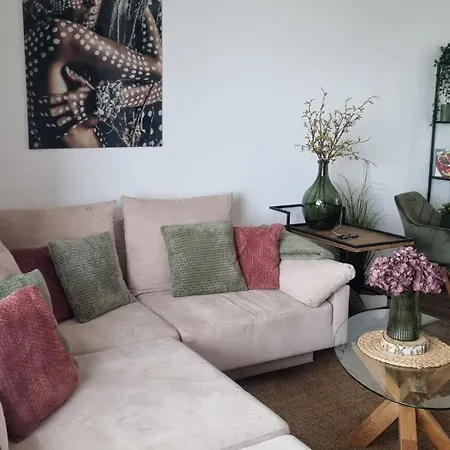 Pop Hill & * Sremska Kamenica